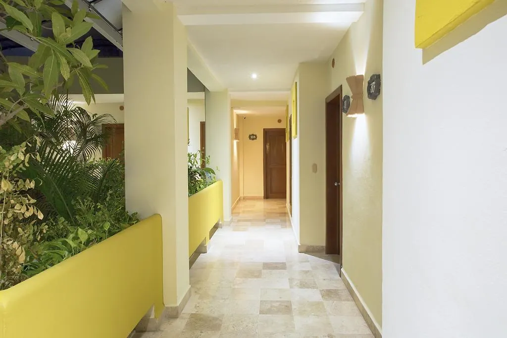 Hotel Los Itzaes By 5Th Av بلايا ديل كارمن 3*,