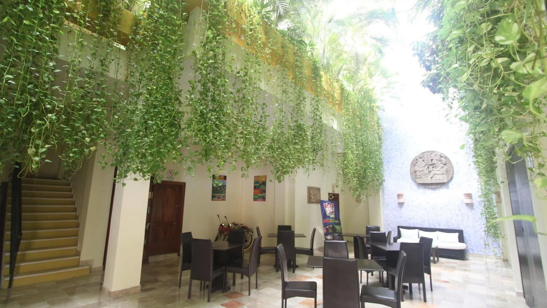 Hotel Los Itzaes By 5Th Av بلايا ديل كارمن 3*,  المكسيك