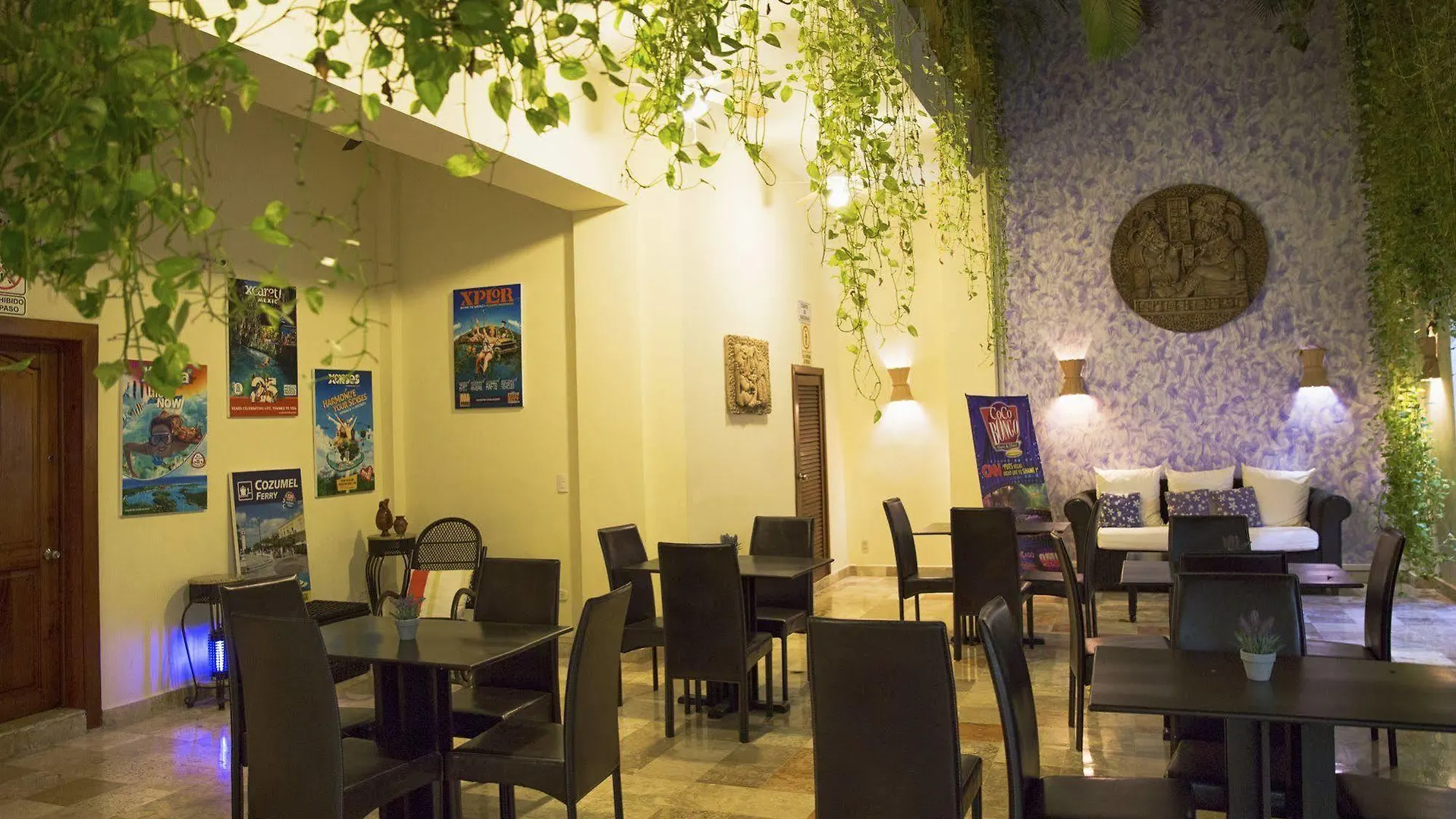 ***  Hotel Los Itzaes By 5Th Av بلايا ديل كارمن المكسيك